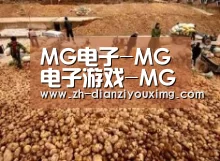 种植基地二