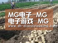 种植基地八