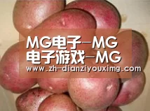 产品展示标题1