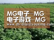 种植基地五