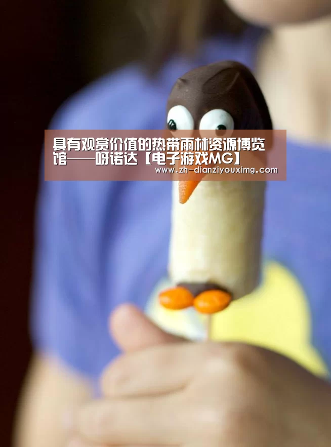 电子游戏MG