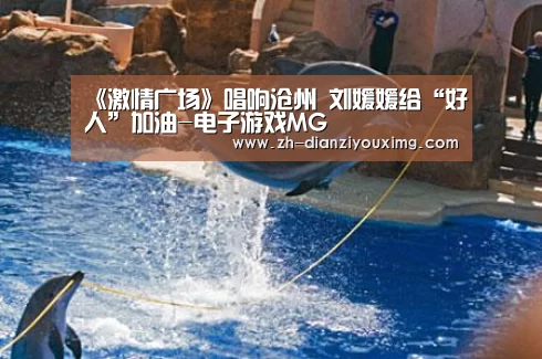 电子游戏MG